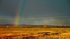 Landscapes rain storm Russia fields rainbows skies