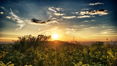 Landscapes Rays nature Trees sun clouds sunlight sun rays skies 