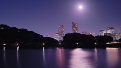 Landscapes reflections cityscapes Harvest Moon