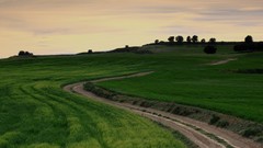 Landscapes roads countryside skyscapes