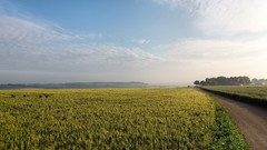 Landscapes roads fields