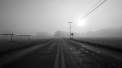 Landscapes roads grayscale