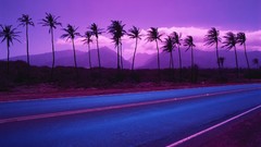 Landscapes roads palm trees
