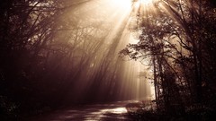 Landscapes roads shadows