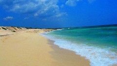 Landscapes sand Beaches