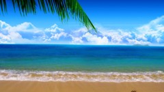 Landscapes sand Beaches