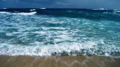 Landscapes sand Beaches