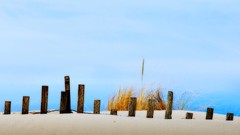 Landscapes sand Beaches