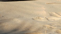 Landscapes sand Beaches