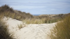 Landscapes sand Beaches