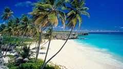 Landscapes sand Beaches Barbados