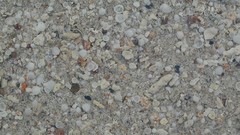 Landscapes sand broken shells Beaches