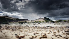 Landscapes sand clouds