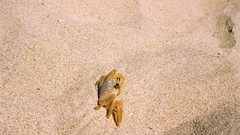 Landscapes sand crabs Beaches Cuba towels Trinidad playa