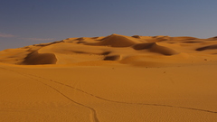 Landscapes sand deserts