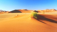 Landscapes sand deserts