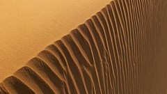 Landscapes sand Dune