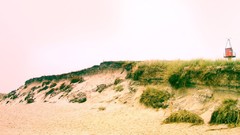 Landscapes sand fantasy grass Beaches