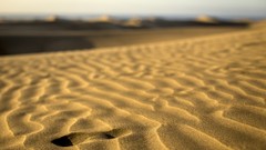 Landscapes sand footsteps