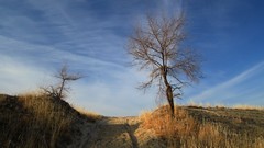 Landscapes sand nature
