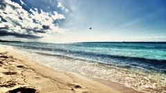 Landscapes sand nature Beaches