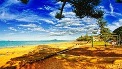 Landscapes sand nature bright Beaches rest swings