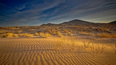 Landscapes sand nature grass blue clouds sky bushes shadows