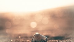 Landscapes sand nature light