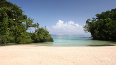 Landscapes sand nature Trees Oceans Beaches cove