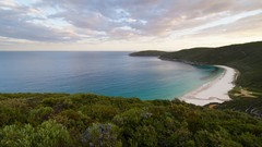 Landscapes sand nature Trees water blue clouds ocean Green 