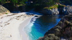 Landscapes sand nature Trees water blue ocean Green point rocks 