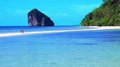 Landscapes sand nature Trees water blue ocean white Green 