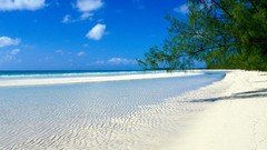 Landscapes sand nature Trees water blue ocean white Green 
