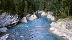 Landscapes sand nature Trees water rocks rivers forests