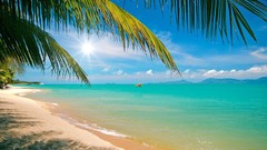 Landscapes sand nature Trees water sun clouds hills white Green 