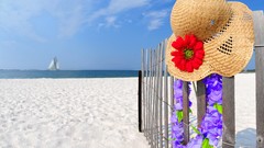 Landscapes sand ocean hats fences red flowers Straw Hat