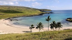 Landscapes sand palm trees Beaches