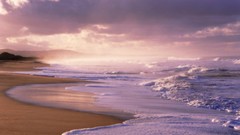 Landscapes sand Sea Beaches shore