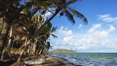 Landscapes sand Sea nature clouds Australia palm trees chili 