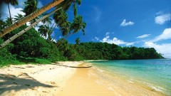 Landscapes sand Sea nature Trees blue clouds white Green 