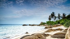 Landscapes sand Sea nature Trees clouds white Green Plants 