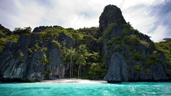 Landscapes sand Sea nature Trees water Green bay palm trees 