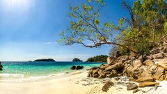 Landscapes sand Sea nature Trees water white Green Islands 