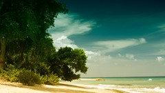 Landscapes sand Sea nature Trees yellow blue clouds white Green 