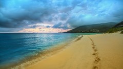 Landscapes sand Sea ocean footprint