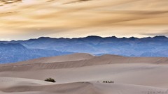 Landscapes sand skyscapes deserts