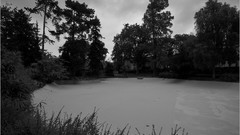 Landscapes sand Trees France Photographers public artwork James 