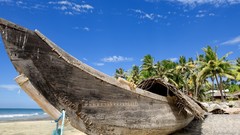 Landscapes sand Trees ships