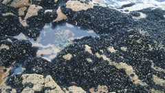 Landscapes sand water Australia Salt