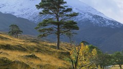 Landscapes Scotland scenic